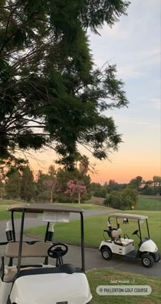 two golf carts parked on the side of a road next to a tree and grass covered field