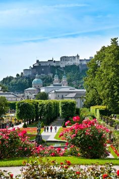 people walking through the gardens in front of a castle on top of a hill with pink flowers