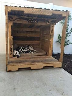 a dog laying on top of a wooden crate