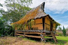 a house made out of wood and grass in the middle of a field with trees around it