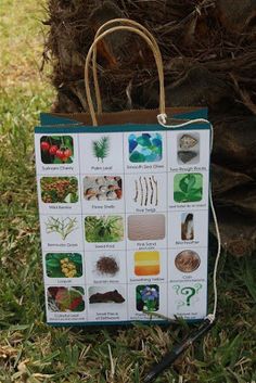 a bag is sitting in the grass with pictures on it