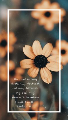 a yellow flower with a bible verse in the middle and some brown flowers behind it