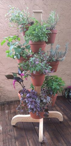 there are many potted plants in the planter on the wooden stand and one has purple flowers