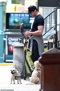 a man walking two dogs on a leash