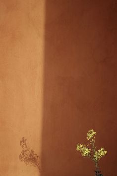 a vase filled with yellow flowers sitting on top of a table next to a wall