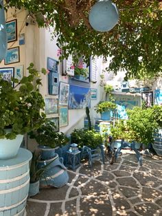 an outdoor area with potted plants and pictures on the wall