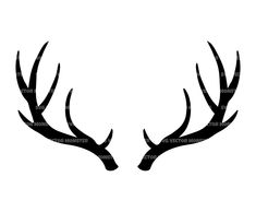 two deer's antlers are shown in black and white on a white background