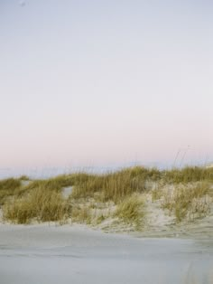 a person standing on the beach with a surfboard in their hand and sand dunes behind them