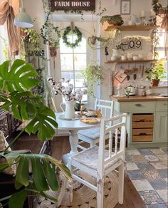 a kitchen filled with lots of potted plants