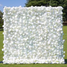 a large white flowered wall in the middle of a field