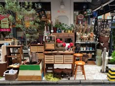 a store front with lots of wooden furniture and plants in the window, along with other items on display