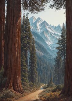 a painting of trees and mountains with a dirt road in the foreground, surrounded by tall pine trees