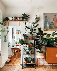 a living room filled with lots of plants and bookshelves on top of shelves