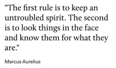 the first rule is to keep an untroubled spirit the second priority is to look things in the face and know them for what they are