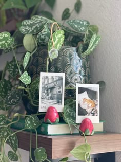 two pictures are placed on top of some books with red flowers in front of them