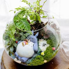 a glass bowl filled with plants and animals