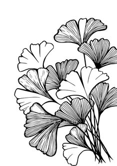 some flowers that are in black and white