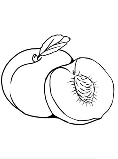 a black and white drawing of an apple