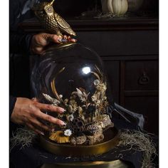 a person is holding a glass dome with plants and mushrooms in it on top of a table