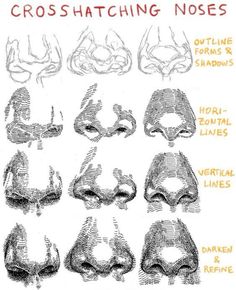 the different types of nose shapes and how they are used to make them look like noses