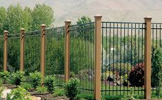 a black iron fence in the middle of a garden