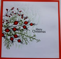 a christmas card with pomegranates and holly on the front, in red frame