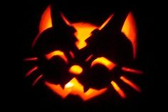 a pumpkin carved to look like a cat's face