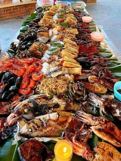 a long table filled with lots of different types of food