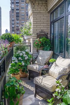 Cozy urban balcony featuring lush plants, comfy seating, and decorative accents. Ideal inspiration for small balcony garden ideas. Balcony No Roof, Zen Balcony, Balcony Garden Design, Apartment Vegetable Garden, Small Studio Apartment Decorating, French Balcony, Balcony Design Ideas, Small Water Features, Small Balcony Garden