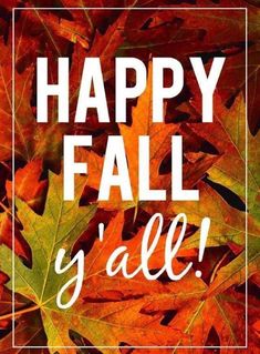 an image of fall leaves with the words happy fall y'all