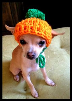 a small dog wearing an orange crocheted hat on top of a couch with a green ribbon