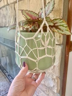 a hand holding a green plant in a hanging pot with a netted design on it