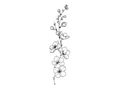 1 pen drawn style cherry blossom svg file included. Perfect for cards, logos, invitations, tattoos, etc. Welcome to our collection of premium SVG files - your gateway to endless creativity and customization🎨✨ All our SVG files are allowed for both personal and commercial use! SVG (Scalable Vector Graphics) files are the perfect digital tool for crafters, designers, and DIY enthusiasts alike. With their flexibility and scalability, SVG files can be used for a wide range of projects and applicati Cherry Blossom Outline, Cherry Blossom Svg, Cherry Blossom Drawing, Cherry Branch, Sakura Tattoo, Branch Tattoo, Cherry Blossom Branch, Carpe Koi, Cute Tiny Tattoos