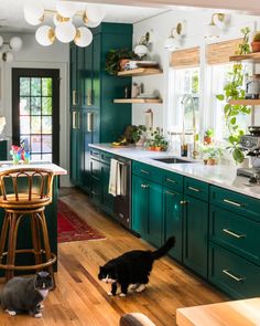 two cats in a kitchen with green cabinets and wooden floors, one black and white cat standing on the floor