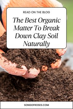 the best organic matter to break down clay soil naturally