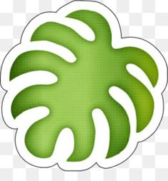 a green monster leaf cut out on a white background