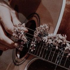 a person playing an acoustic guitar with flowers on the fret and in front of them