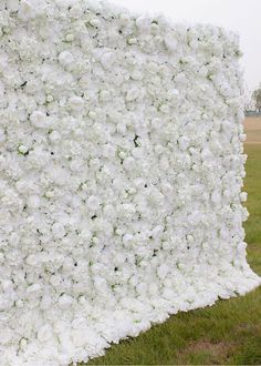 a large white flower covered wall in the grass