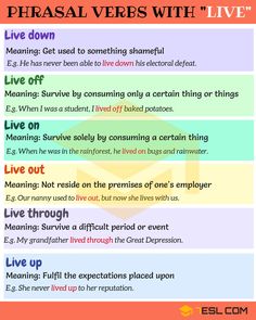 the five types of phrasal verbs with live