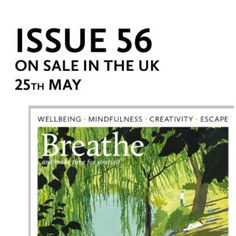 the front cover of issue 56 on sale in the uk, 25 may 2013 with an image of a man sitting under a willow tree