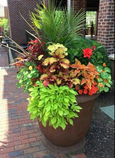 a planter filled with lots of different colored flowers and greenery next to a brick building