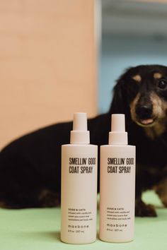 a dog laying on the ground next to two spray bottles