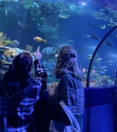 two people looking at fish in an aquarium