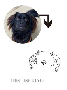 a dog's face is shown with an arrow pointing to the right and another image that says, thin line style