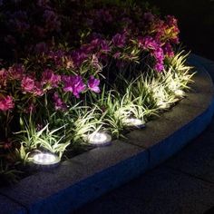 some lights that are sitting on the ground in front of flowers and grass at night