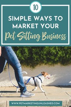 a person walking a dog on a leash with the words 9 ways to stand out in a saturated market pet industry edition