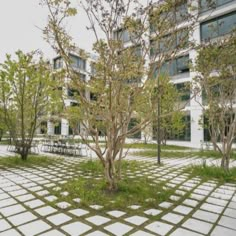 an empty courtyard with benches and trees in the middle