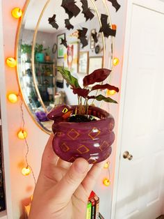 a person holding up a plant in a pot