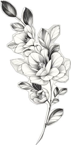 Half Flower Drawing, Word Tattoos With Meaning, Word Tattoo Ideas, Half Flower, Word Tattoo, Word Tattoos, With Meaning, Tattoos With Meaning, Flower Drawing