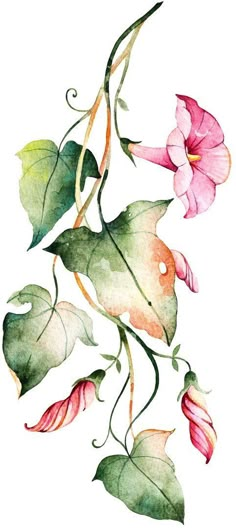 watercolor painting of pink flowers and green leaves